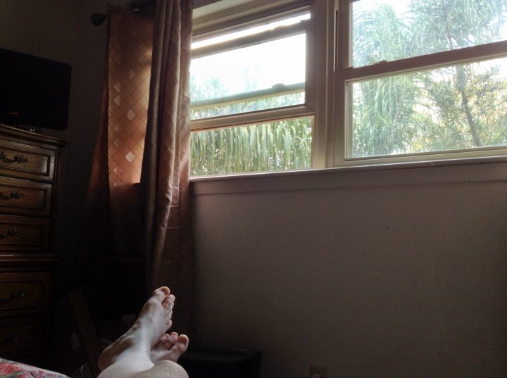 Looking Out the Window