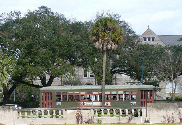 View from Audubon Park bench, New Orleans