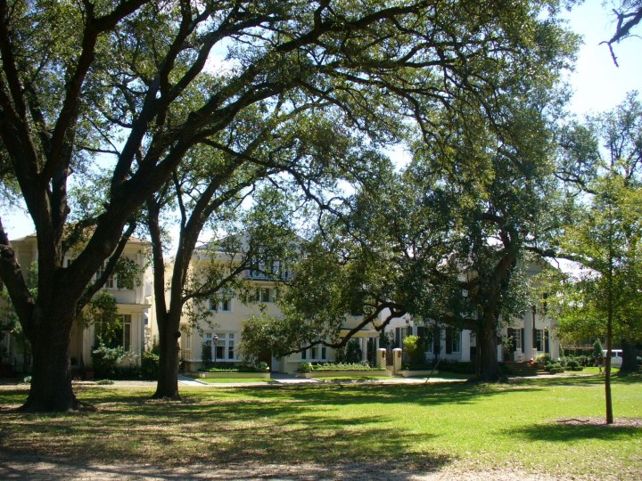 Exposition Blvd from Audubon Park, 2012