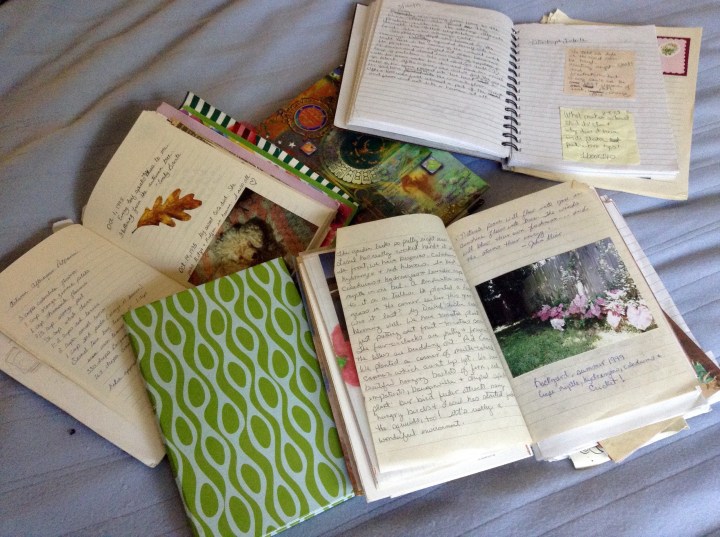 My journals