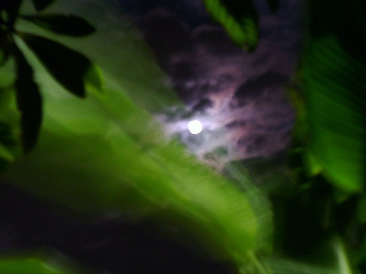 nola-moon-037