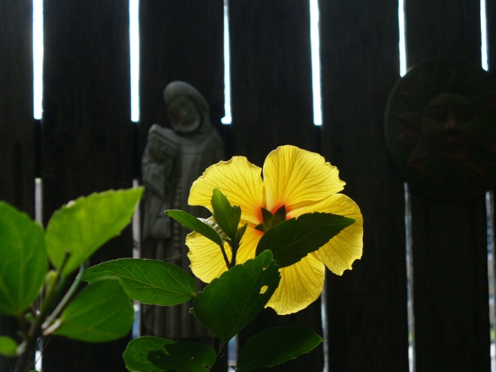 P1080173