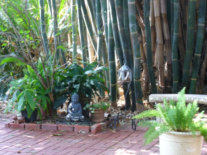 P1080166